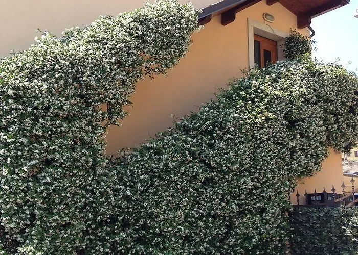 La Pesa Bed & Breakfast