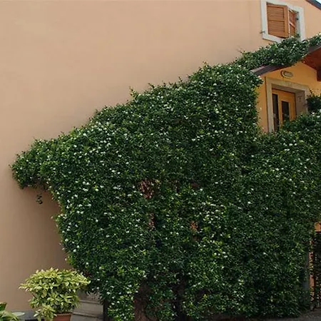 Frühstückspension Alloggio La Pesa 3*