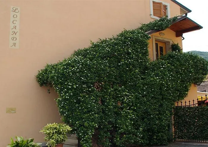 Bed & Breakfast La Pesa 3*